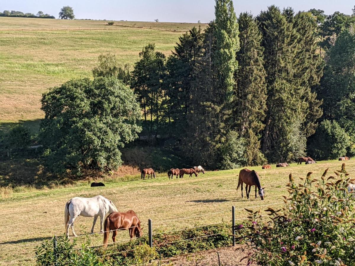 Eifel-Ferienhaus Landblick Hurtgenwald Экстерьер фото